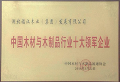 中國木材與木制品行業(yè)十大領(lǐng)軍企業(yè)