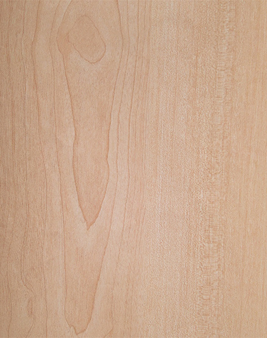 金絲楠木