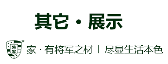 其它 展示