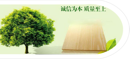 廣告支持