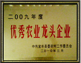 優(yōu)秀農業(yè)龍頭企業(yè)