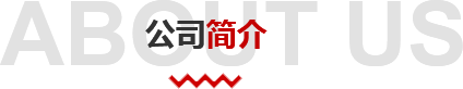 公司簡(jiǎn)介