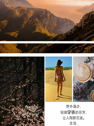 中林效果圖