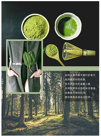中林效果圖